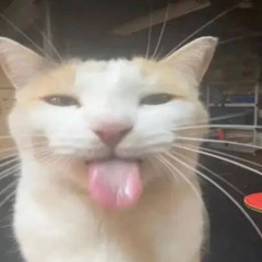 rmbr mi