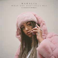 What You Did (feat. Ella Mai) [Cam'ron Remix]