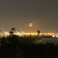 The Owl and the moon