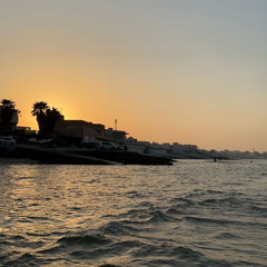 Gemini's mashup 🦋