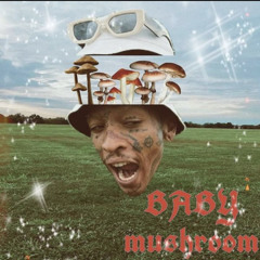 BABYmushroom - VERÃO PASSADO (Prod. XB$)