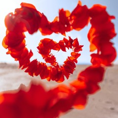 Velicha Poove Instrumental