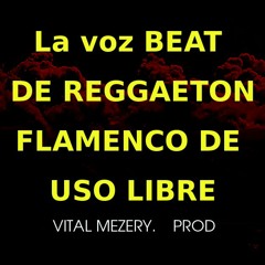 BEAT DE REGGAETON FLAMENCO DE USO LIBRE FREE USE BEAT