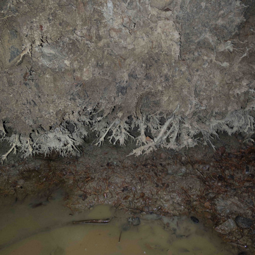 Franz Jäger - Tension A (JGR005)