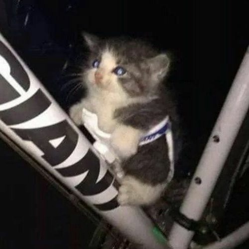 BodyPartz  (slowed By Rixat)