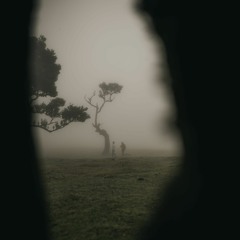 Somewhere Only We Know