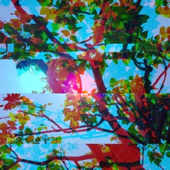 Subtle Music for Morning Sunshine