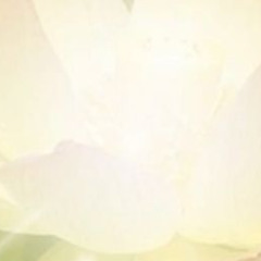 kefai.flp