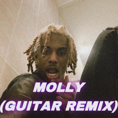 Molly Guitar Remix