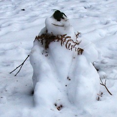 Snowflake 2008 - 2020