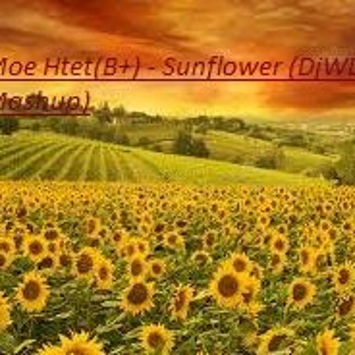 Stream Moe Htet(B+) Sunflower (DjWD Mashup) by Htet Wai Yan Naing
