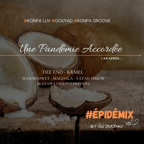 EPIDEMIX vol.2 "Une Pandémie Accordée" By DJ DUCRAU