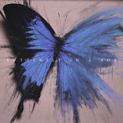 Butterfly in a Box