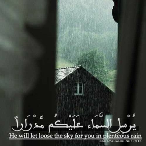 سورة نوح - عبد الرحمن حسين