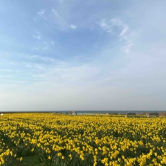 5 PM in Rhode Island