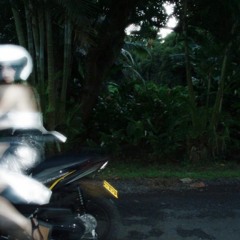 backdoor ft lust nite