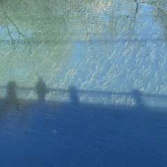 Trap Music For Crustaceans and Other Ocean Creatures