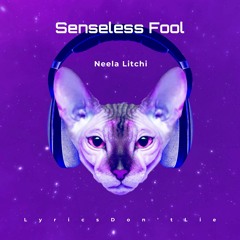 SENSELESS FOOL!_1
