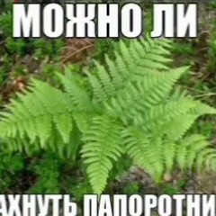 Фембойчик - Ильдар Бро