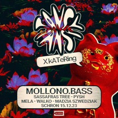 PYSH (dj Set) @ kATeRing: Mollono.Bass @ SCHRON, Poznan (warm up set)