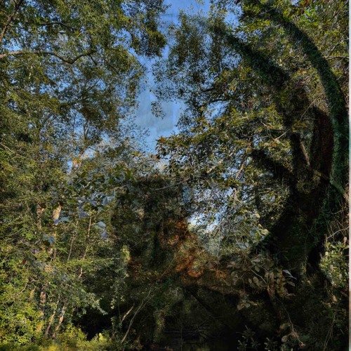 ablution prod.vautarkis