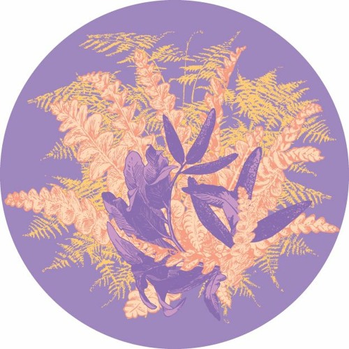A2. Ruhig - A Perfect Vacuum - MOFF010 (snippet)