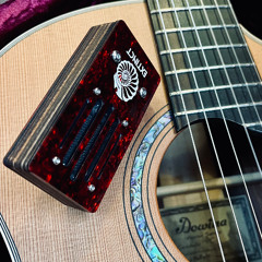 BoRbon Stereo Pair - Guitar  - Die Rose Im Garten