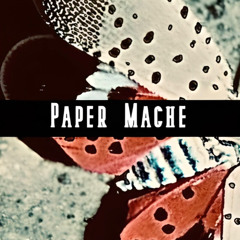 Paper Mache
