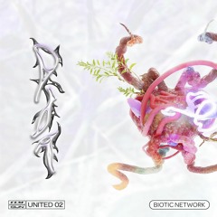 P I T & ASJ - Aggregate.mkv