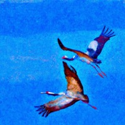 Spring's Embrace: Symphony of Renewal