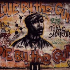 ELE555-NASHEEE WEST COAST