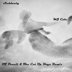SUDDENLY - MJ Cole - Dj Pencil & The Cut Up Boys Remix