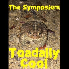The Symposium - Toadally Cool