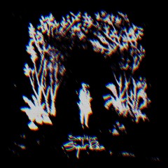 sigur ros - saeglopur (endrun re-edit)