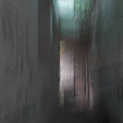 TribalNoise