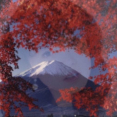 EVA21 サ - FujiExpress