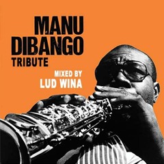 Lud Wina - Manu Dibango Tribute
