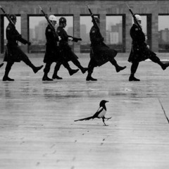 Be Yourself and Maybe More (MaxK Live Mashup