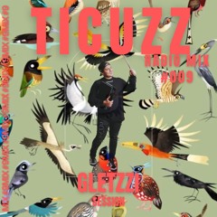 TICUZZ 009 - RADIO MIX GLETZZI (ESPECIAL SET)