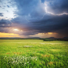 Asthme d’orage, un phénomène météo peu connu mais à surveiller !