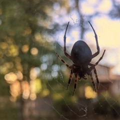 Thrice - Robot Soft Exorcism #RobotSoftExorcismRemix