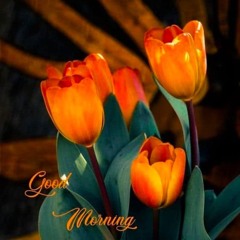 Laga Chunri Mein Daag