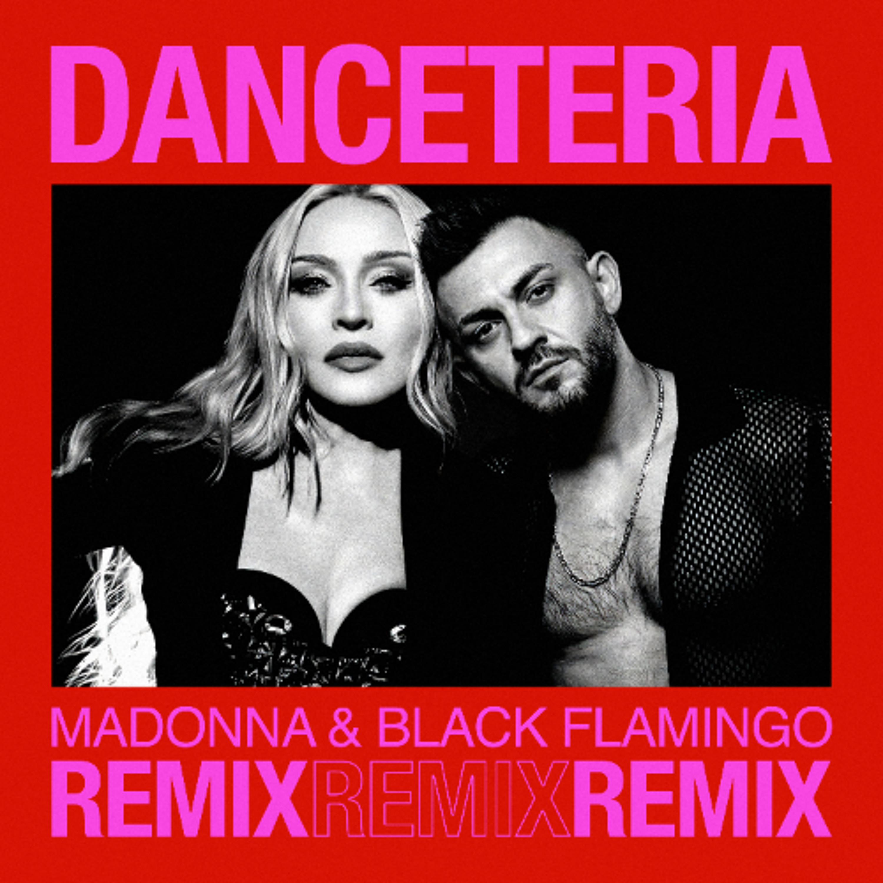 Portada de Black Flamingo Dj