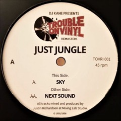 Just Jungle - Next Sound