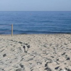 Beautiful Time @DonkeyRave