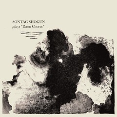 Dawn Chorus (Instrumental)
