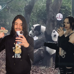 timing im on prod tokyopill