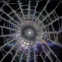slimeballchrissy - so crazy [prod. wavyysolo + dhubluew]  [nevanotworkin exclusive]