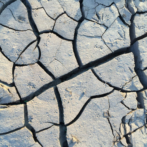 Fault Lines: How Shaky Our Basis Is