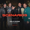 Scenarios @ Cocoon, Frankfurt 28/02/25 DJ mix artwork - Electronic music tracklist cover image